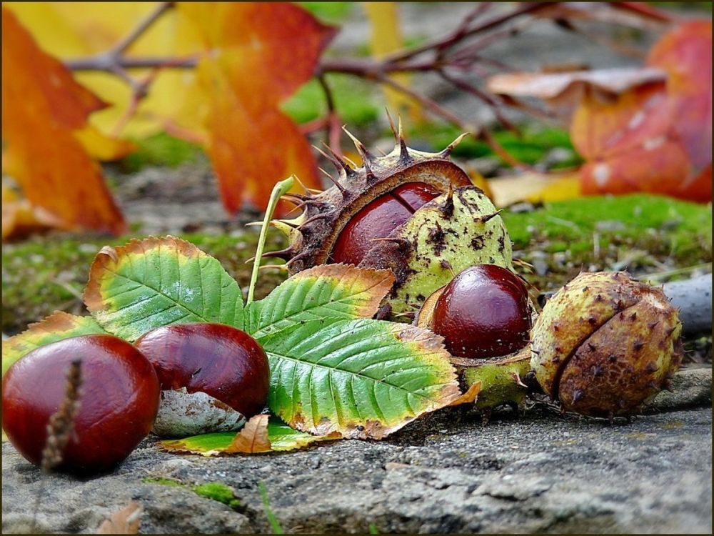 ���������� ��� �������� � ������ ��������� ����� �� ����� ������ � ����� ��������� � ������������� ������ �����