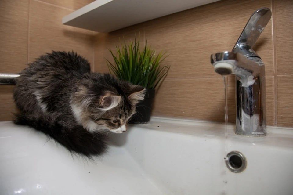 � ��� �� ���� ���������� �������� ���� ��� ����� �� ���������� � ����