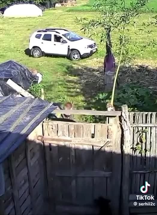 ������ ���� ��������. ���������� ������� �������� ������������ ��� ������ ������������, �� ����� �����, ��� ��� ������ ����