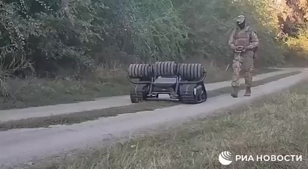 ������������� ������� ������ � �������� ������ ������ ��� �������������� ��������������� ��� � ���