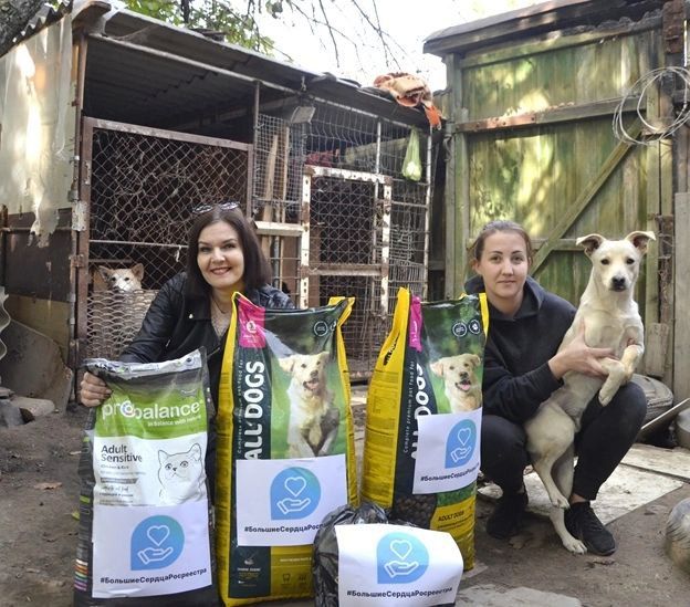 ������� �� ����� ���������� ������������� � ������������� �����������, ������� ���������� ���������� ���������� �� ��������� �������� ���������� ������������ � ����� ��� ��������