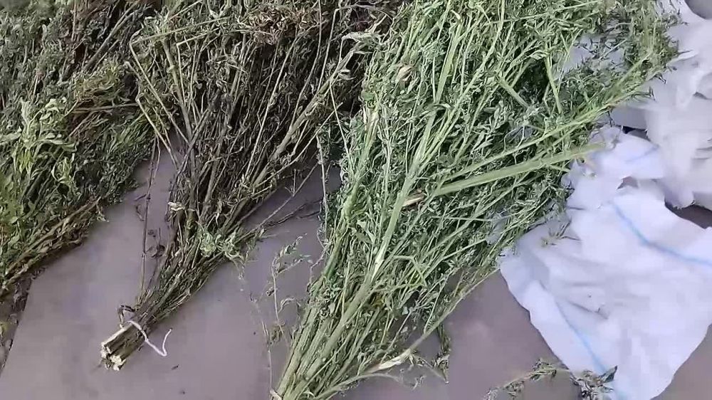 ������������ � 47-������� ������ �. �������� ������ ����� 2 �� ���������