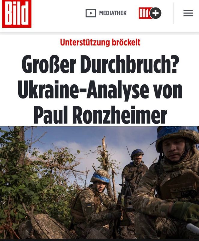 Bild: ��������� �������, ��� ������� ������?