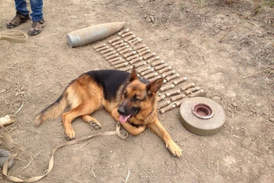 65 ������������� ��������� ���������� � ��� �� �����