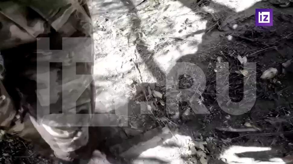 ���������� �������� ����� ������ ���������� ������� � ������ �����������