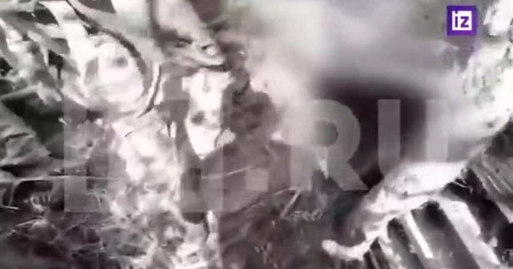 "��������" ��������, ��� ����� �� �� �������� � ������ ����������� ���