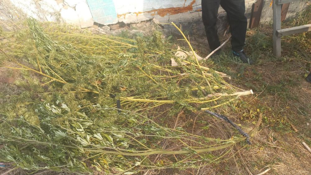 � ������ ���������� ������ 3 �� ���������