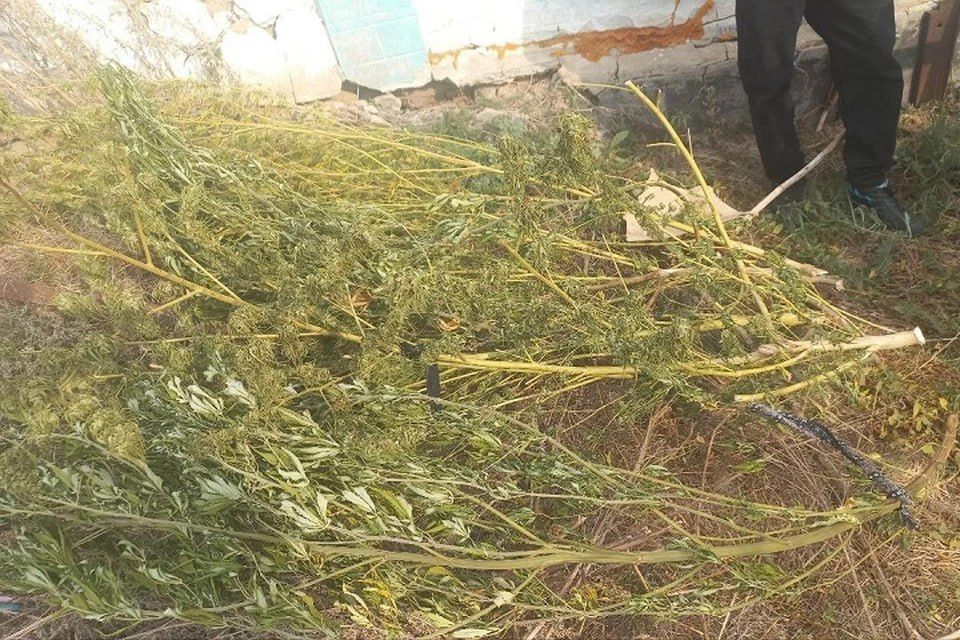 ��� ���������� ��������� ������ � ������ ����������