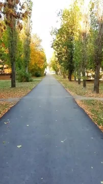 �����-�������, �������� � ������ ����� ��������� ������� ��������� ��������