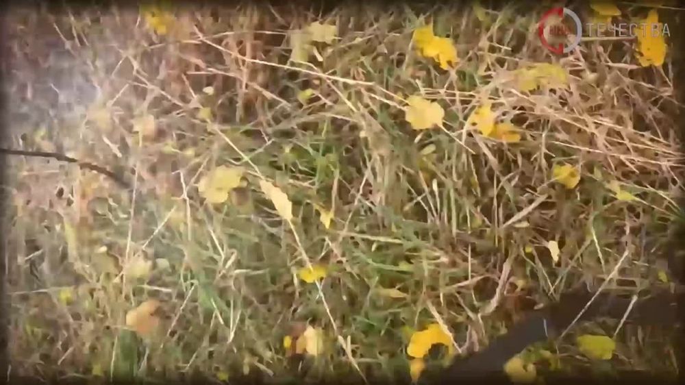 � ����� ���, ������� ������������� �� ������ ���� �������� ����������