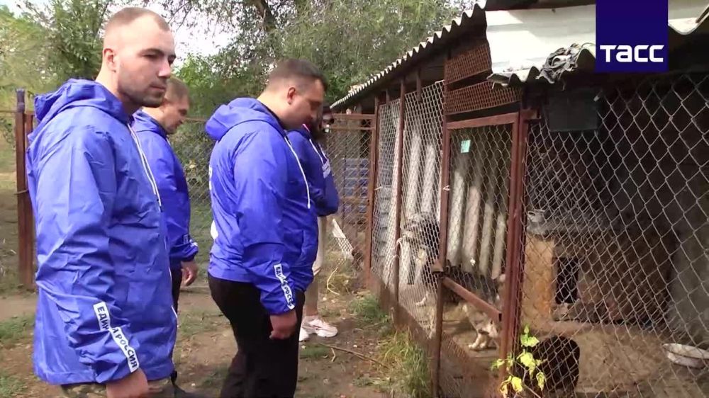 ��������� ������������ ������ "������ ������" �������� ������������ ������ � ����� ��� ��������� �����, ����������� � ������� ���, �������� � ������������