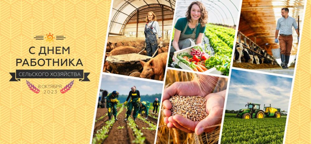 ������������ ������������ ���������� ����������� ������ �� ������������� � ��������������� ������� �� ��������� �������� ���������� ������� ������ � ���� ��������� ��������� ��������� !