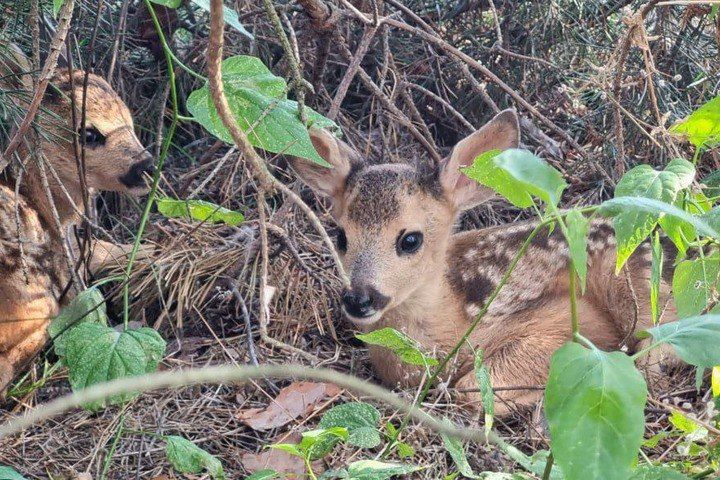 � ��� �������� ������ �� ���� ���� ������