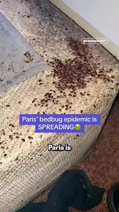 �������� ���������� ������ � ������ ������������