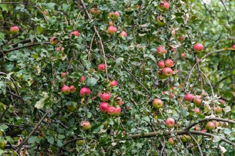 � ��������� ���� �������� ������� ������ 500 ����������� ������