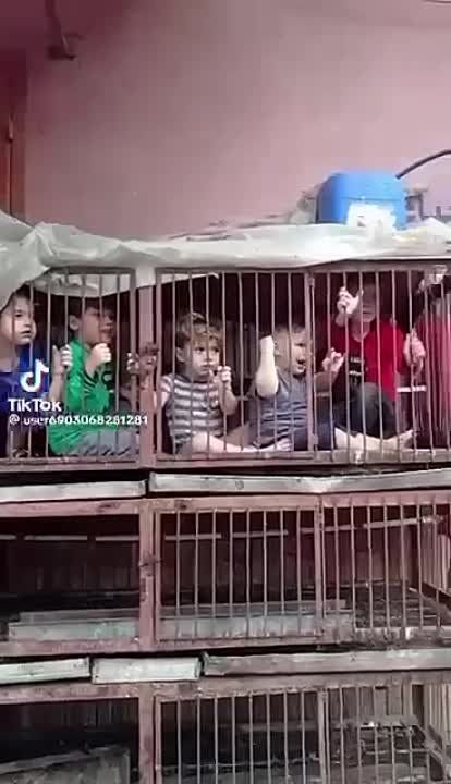 ��������� �������� ������ ������ �� ��������� �����