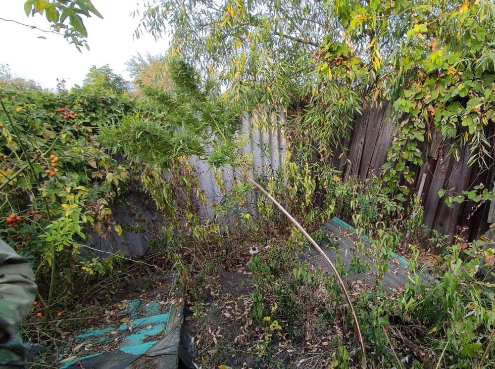 � ������ �.�������� ���������� ������� ������ ������������� ��������