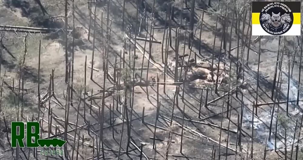 ����������� - ���������. ���������� ����������� "��������" ������� ������� �����