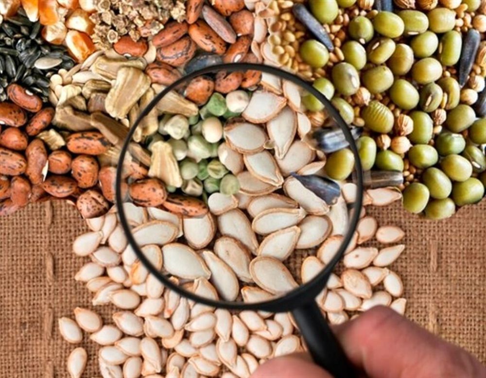 ������������ ����������������� �� ������ ��������� � ����������� ���������