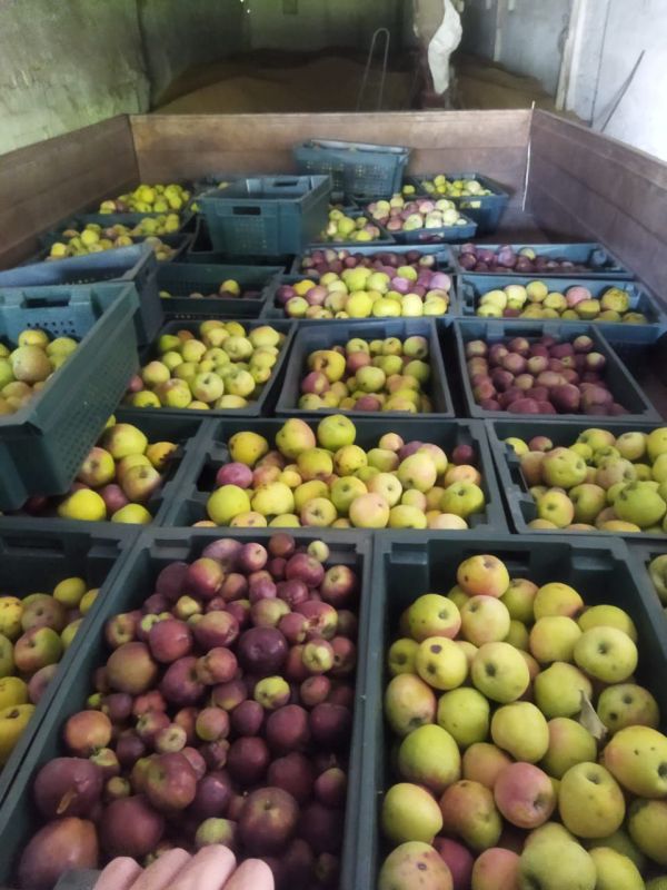 ������ ������ ����� ������ � ����� ��������� ���� "��������", ������������� � ������ ���������� ���������������� ��������� ������������