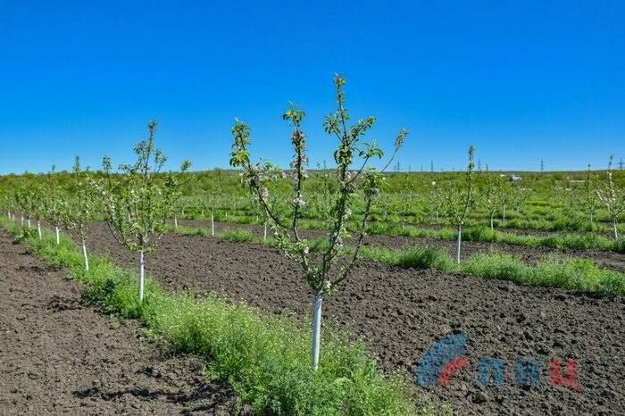 ���������� ���� ��� ����� � �������� ��������� ��� ��� ������ ������ � 500 �� ������