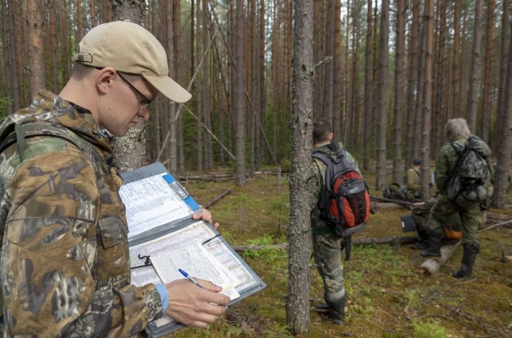 ���, ���, ����������� �������, ���������� �������