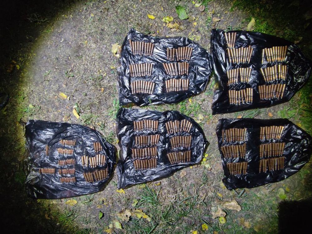 � ������ �. �������� ������ ����������