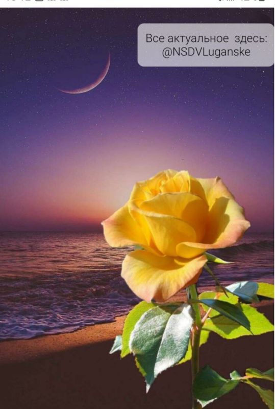 ������ ����, �������!. � �������� � ��������� �������� ���������� �� ���� � ���� ���� �� ����� �� �������. ��� �������