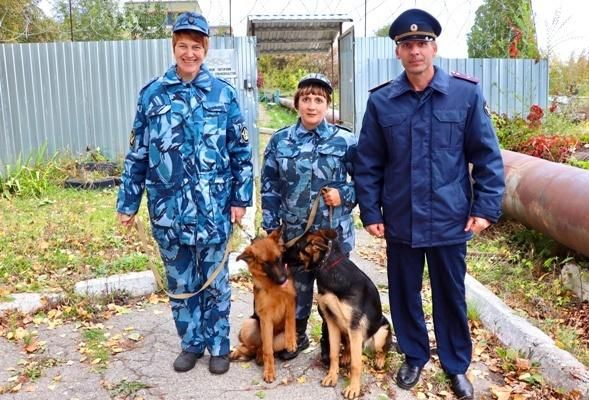 ����� ������������� ������ �������� ������� ����������� ��� ������� ������ � ��� �� ��������� ���������� ������������� ����� �� ����������� �������