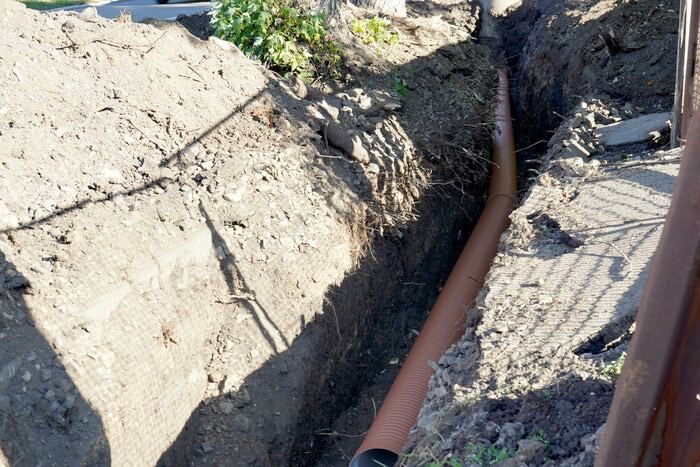 ����������� �� ������������� ���� ������ ����� ��� ����� �������� ����������� �� ����������� �������� ���������� � ����� 50 ��� ����� � ��������� �����������