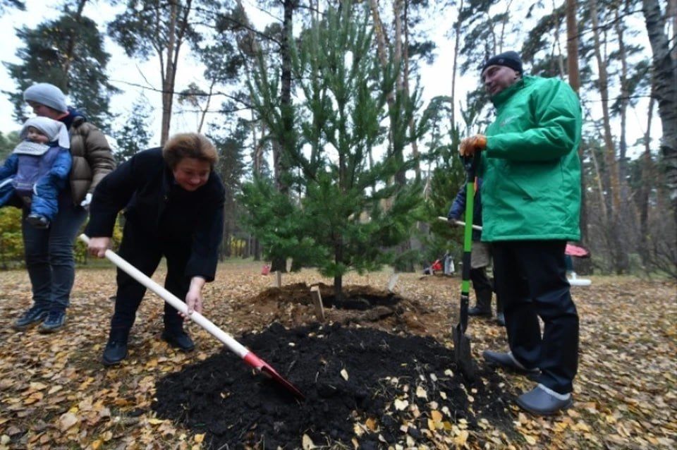 ����� ���� ����� �������� ����� �������� � ������������� ������