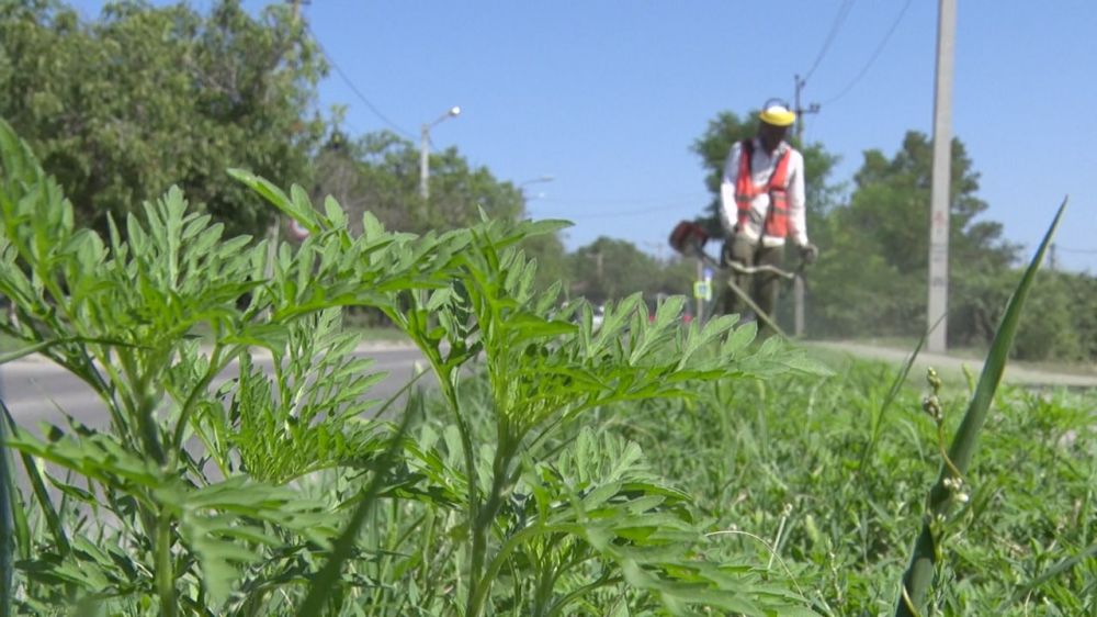 ���� �� ������ � ������������ ������� ����������