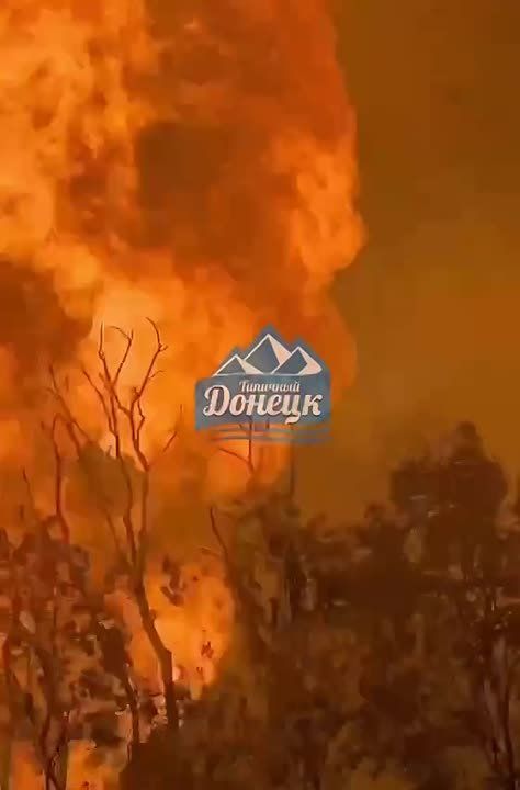 ����� ��� ����������. ����� ����������.. ��� ����� | ��� ��� | ��� ��� ��� ���������� � ���� �� �������������. ��������� ������, ��� ���������� ������� �� ����� ������ �������� �����