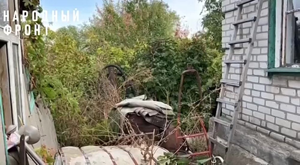 �������� ����� ��� ����� 520 ������������ ������ � ���������� � ���������� ������ ������� ������ ��������