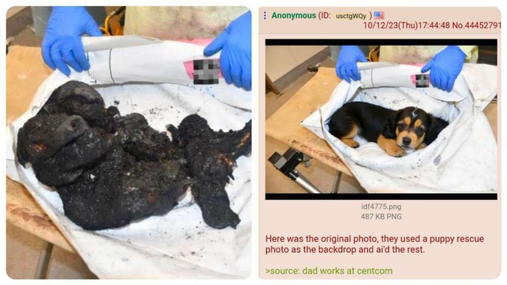 �� ���� ����� ������� ���������� ������� ��� ��������� ��� ���� ���������� ������� ������ ��������� ����� ����������� ������ �����