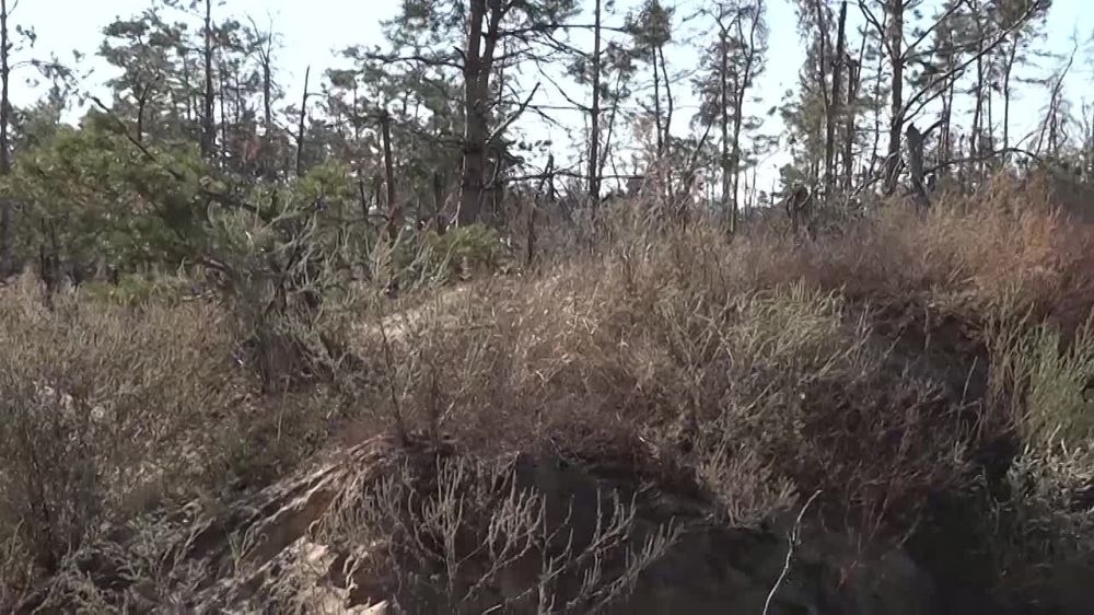 � ��� ����������� ���������� ����� � �������, ������������ � ������ ��� ����� ������ ���������