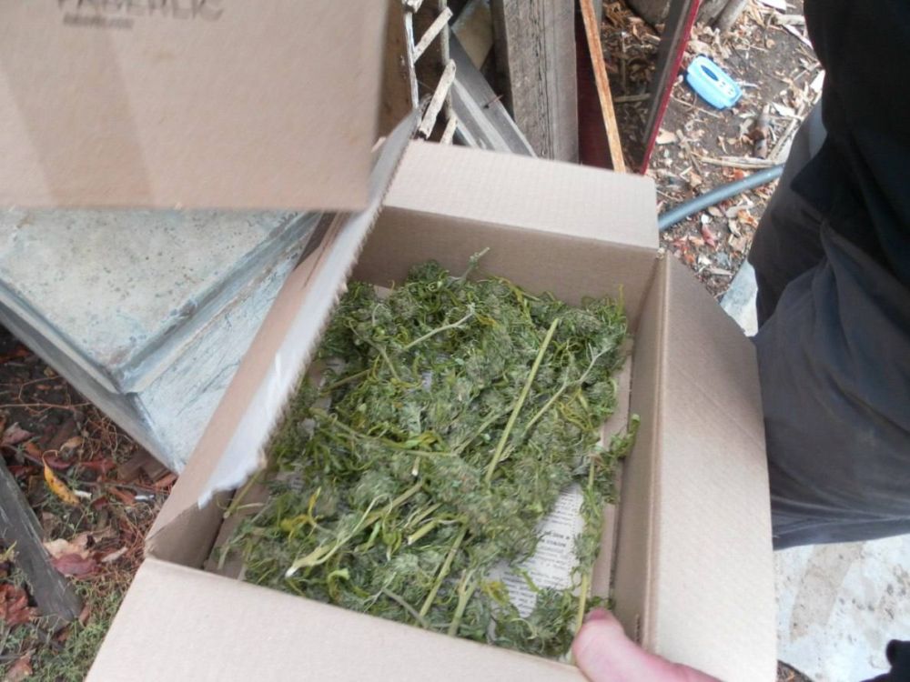 ����������� ����� � ������ ��� ���� ��������� ���������