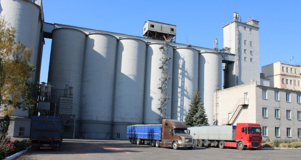 Сегодня, 16 октября, отмечается День хлеба