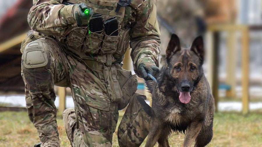 � ��� ������������ ����� �������� ���������� ��� ������ ����������