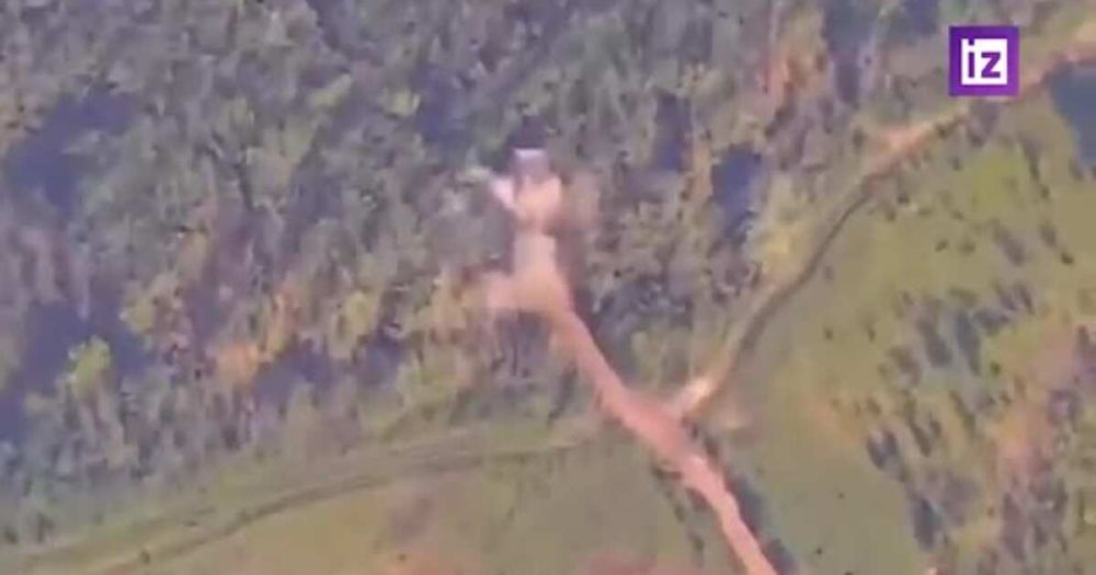 ����� ��������� ������� ������� Crab ��� ������������ ��������