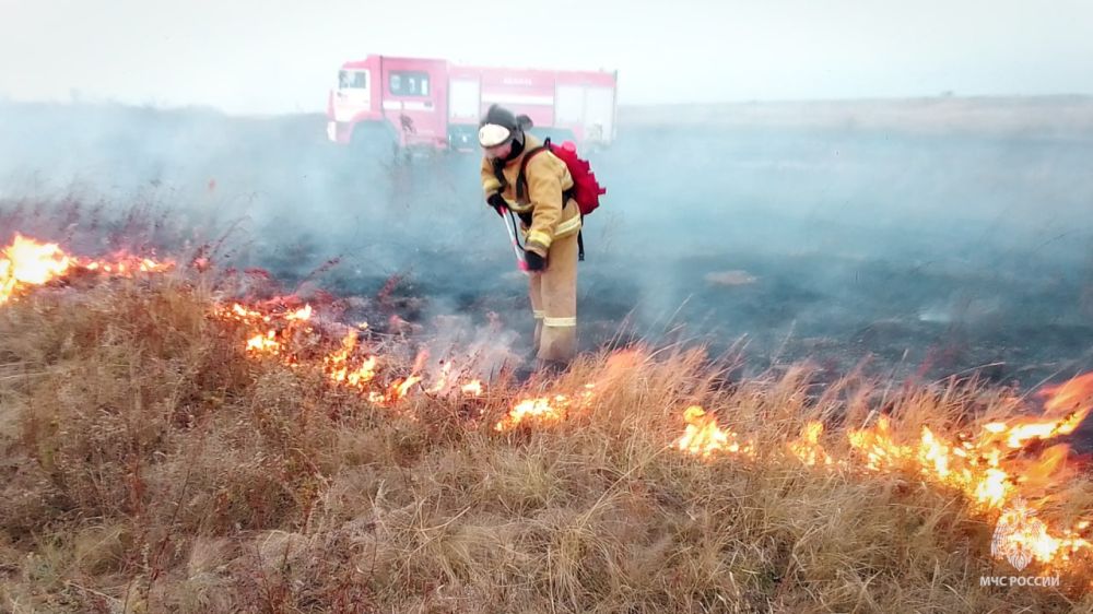 ����������� � ���������� ����� ��������� �������� � ������������ ��������