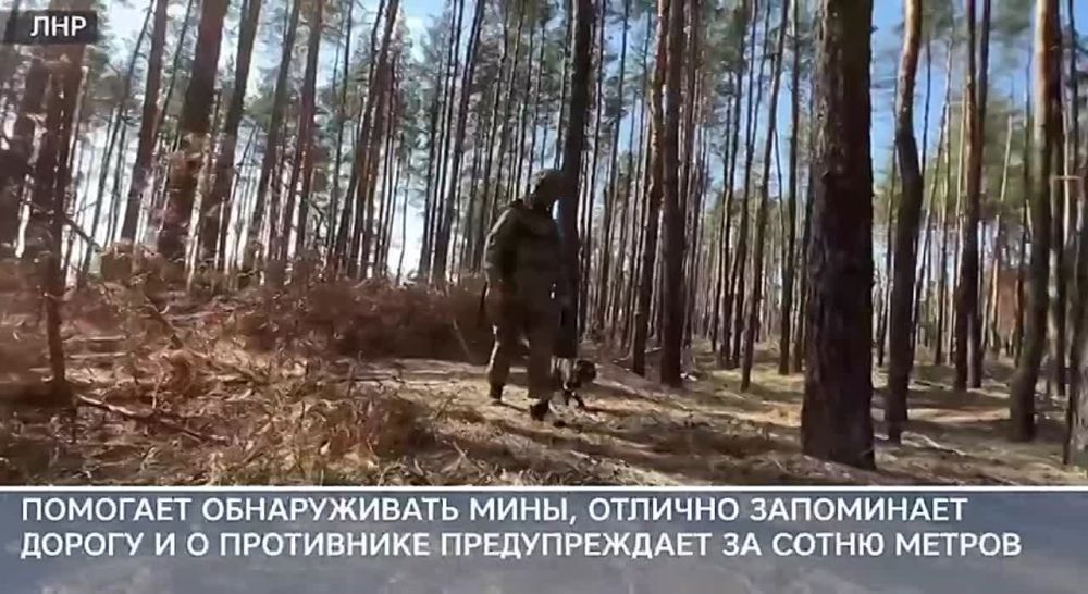 ������ ���������� � ������