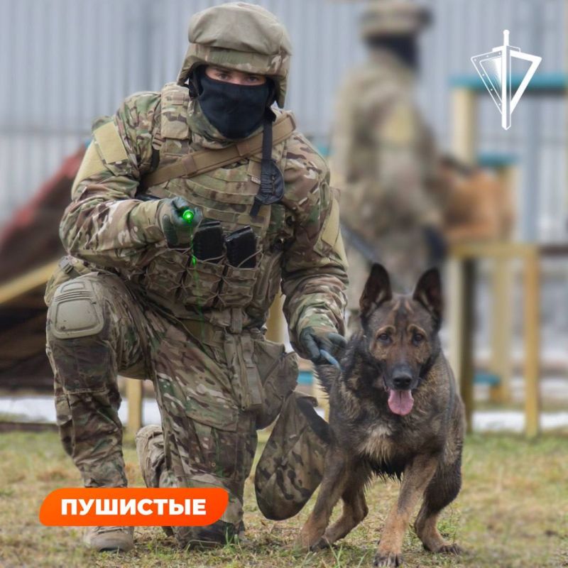 �������� ���������� ������������� ������ � ���. ��������� ����� ��������� ����������� �������� ����������, ��������� �� 3 �� ������� � 1 �� ��������, ���������� ��� ������ ����������, ������� ��� � �������