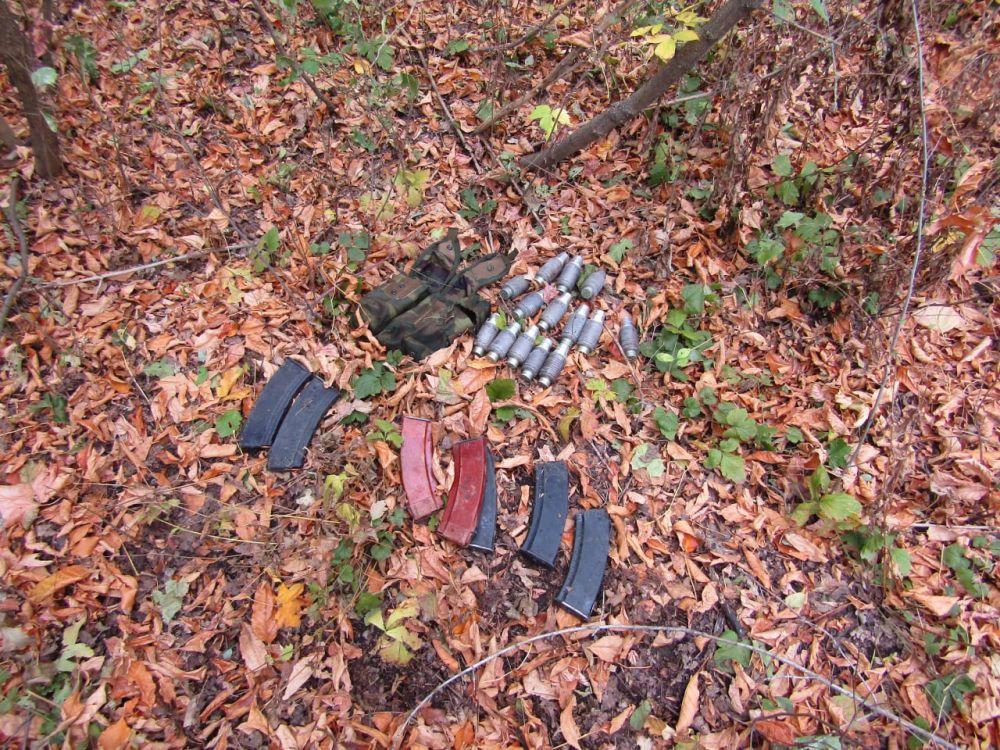 � ���������� �. ������� ������������ ������ ����������