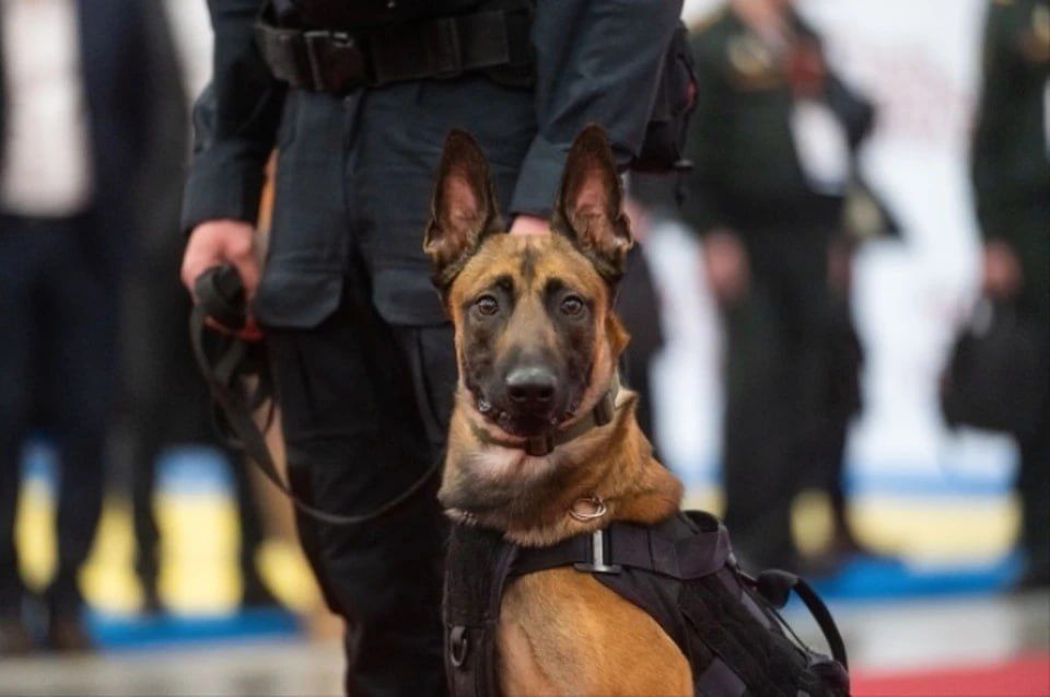 ����� ���������� � ������: ��������� ������ ������� ������� ����������� � ������������� ������ � ���