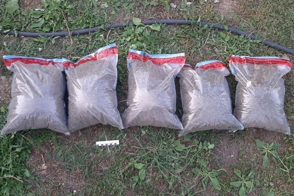 � ��� � ������ ������ 3,5 �� ����������