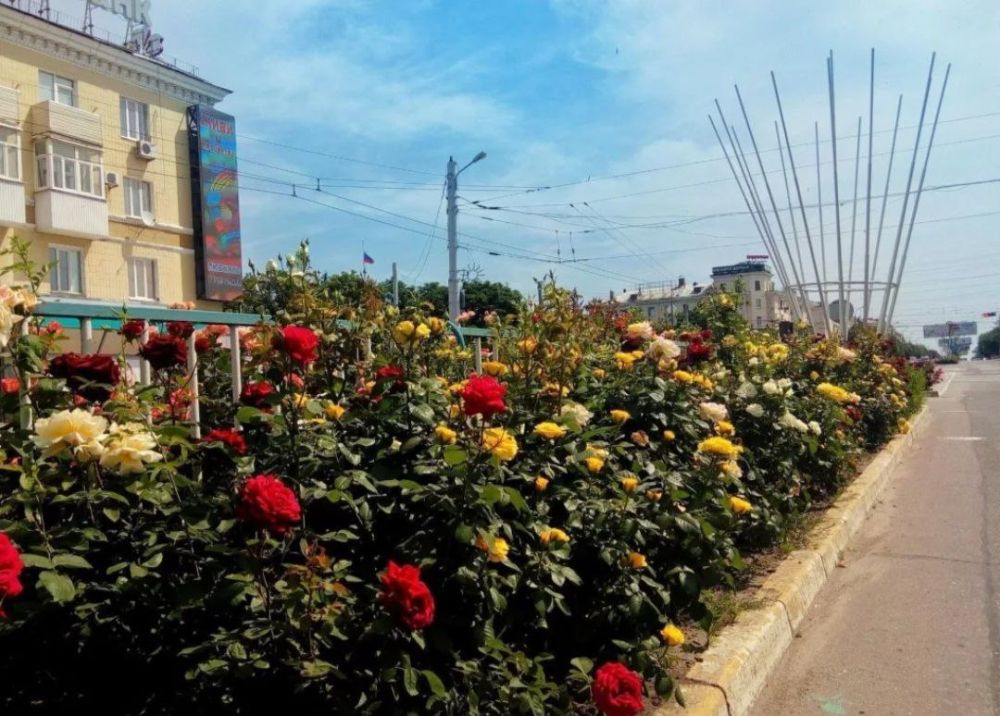 �� ��������� ����� ������� ����� 50 ����� ������