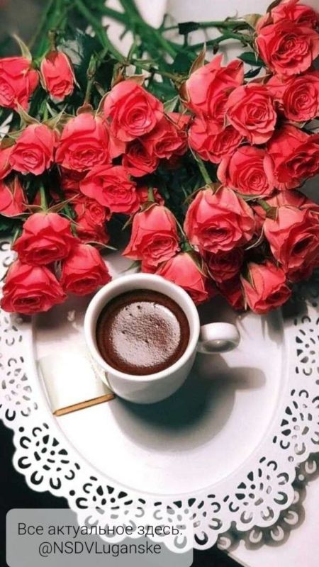 ������ ����, �������!. ����� �������� ���� ��������� �������� � �������� ��� � ������ � �������� � ��������� �������� ���������� ����� ��������� �� ������ ������. ��� �������