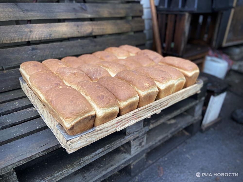 ������ ������ ��������� ��� 80 ����� ���� ���� � ���� ���