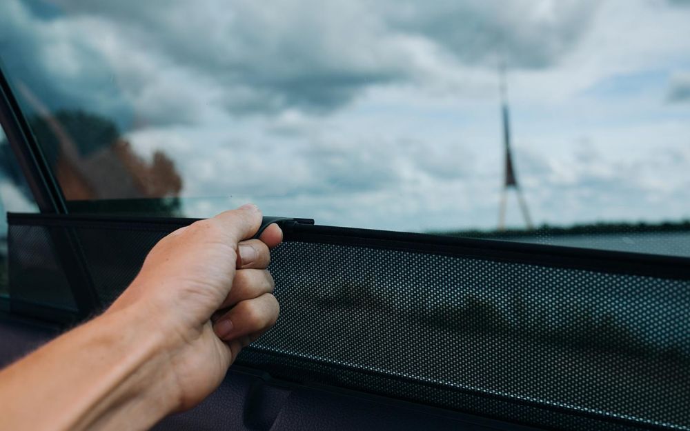 �������� ������� � ������� ������������ ��������� �������� ������� � 19 �������